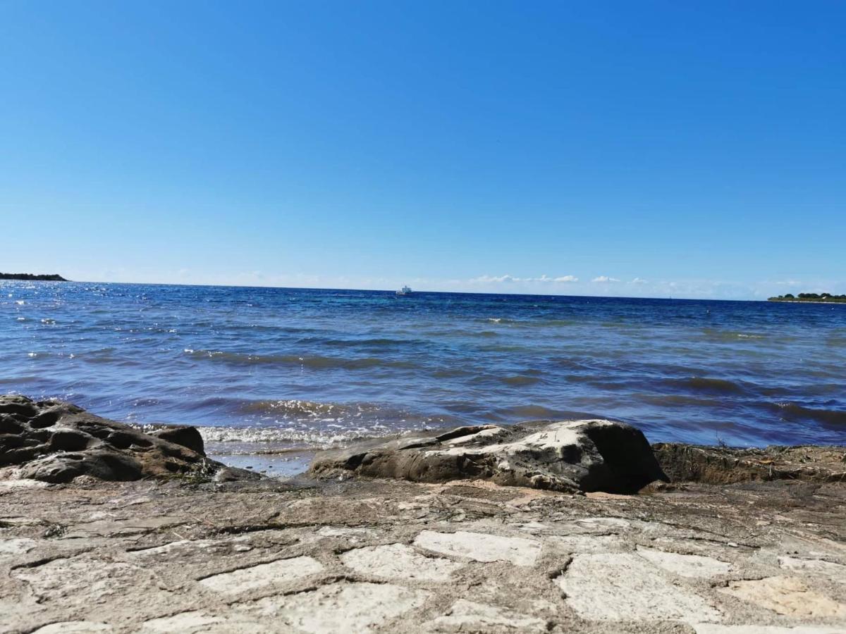 App Palcic K Apartamento Novigrad Istria Exterior foto