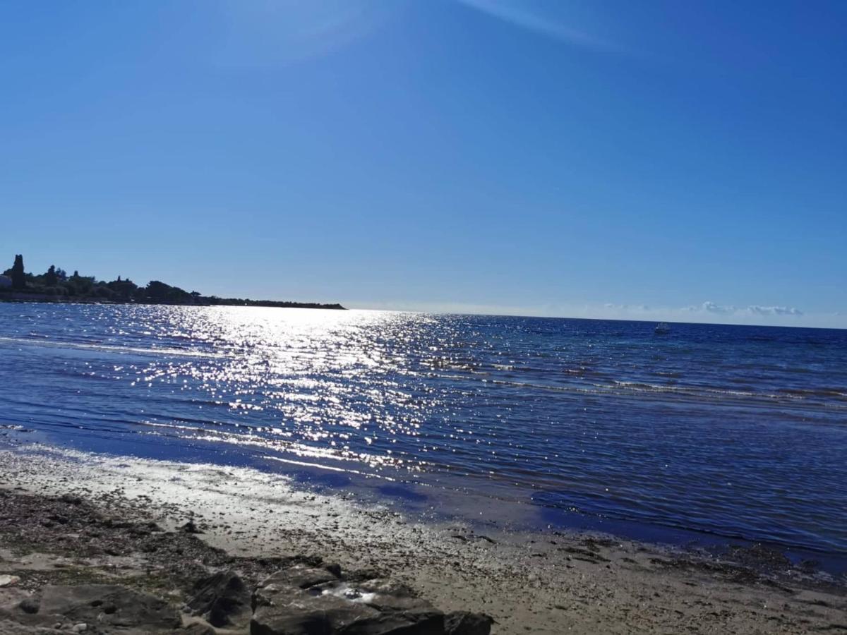 App Palcic K Apartamento Novigrad Istria Exterior foto