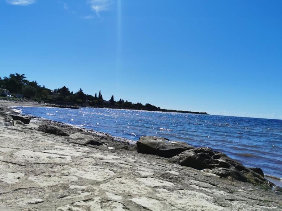App Palcic K Apartamento Novigrad Istria Exterior foto
