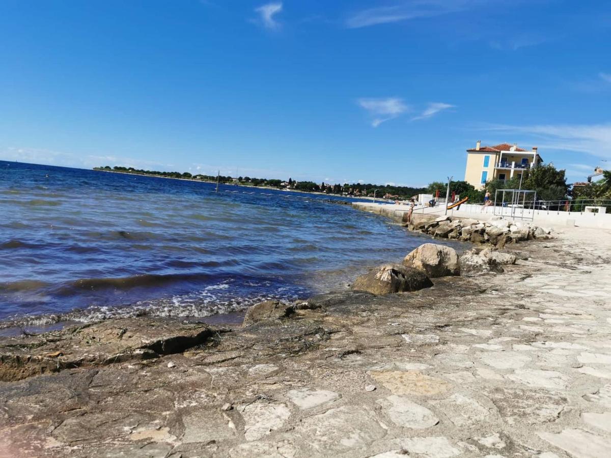 App Palcic K Apartamento Novigrad Istria Exterior foto