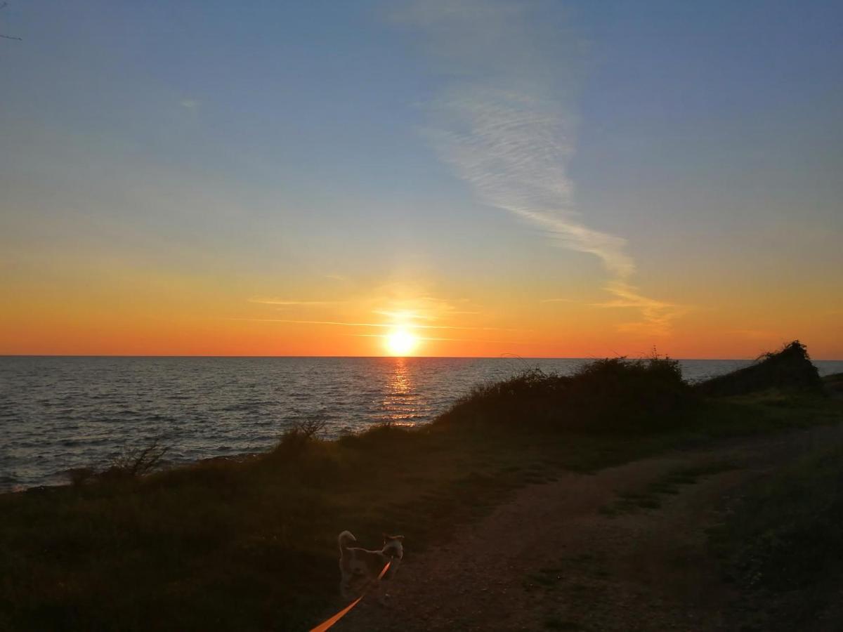 App Palcic K Apartamento Novigrad Istria Exterior foto