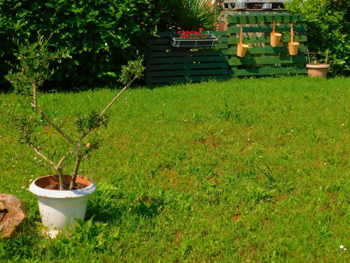 App Palcic K Apartamento Novigrad Istria Exterior foto