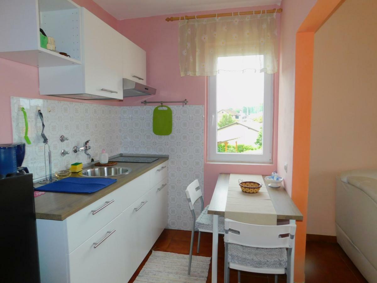 App Palcic K Apartamento Novigrad Istria Exterior foto